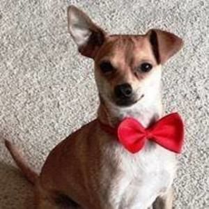 Meet your Posher, Silvina